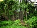 East gate to back yard