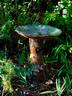 Butterfly and Train Bird Bath 1 *