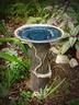 Tree Bird Bath *